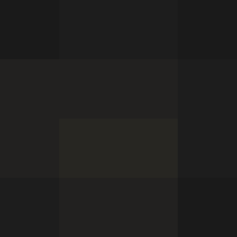 Ryuzln's skin