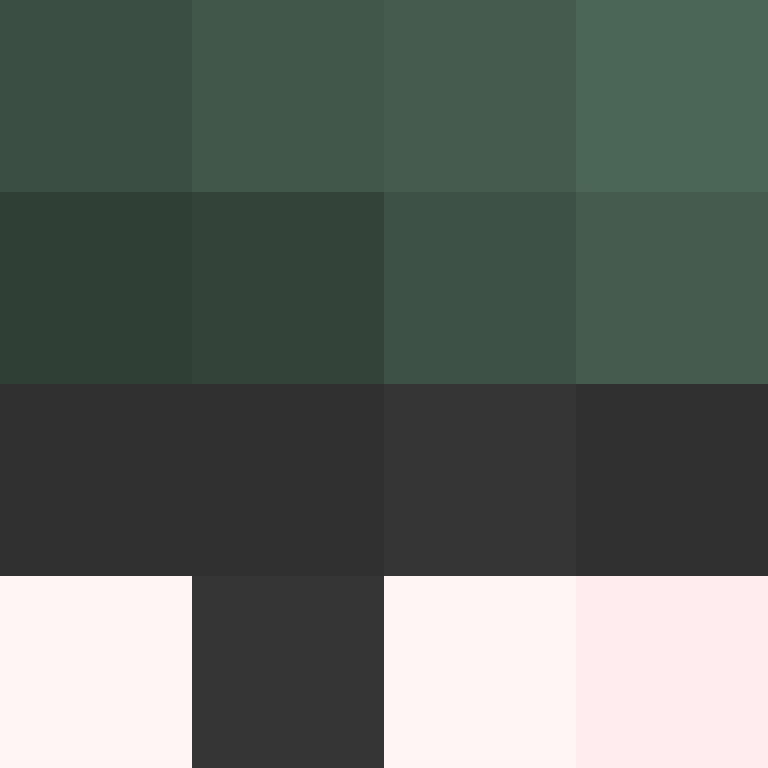 PtakopyskCZ's skin