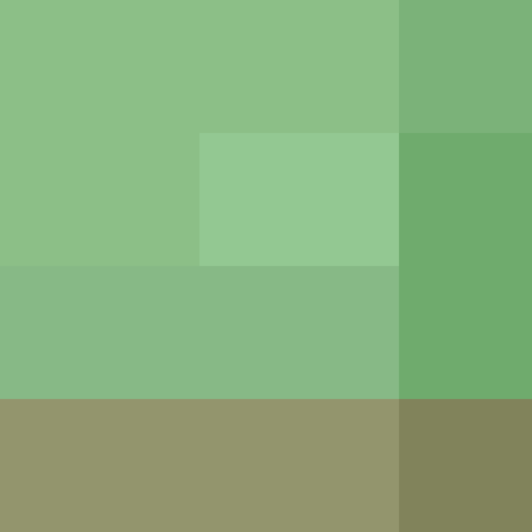 CeilingBird's skin