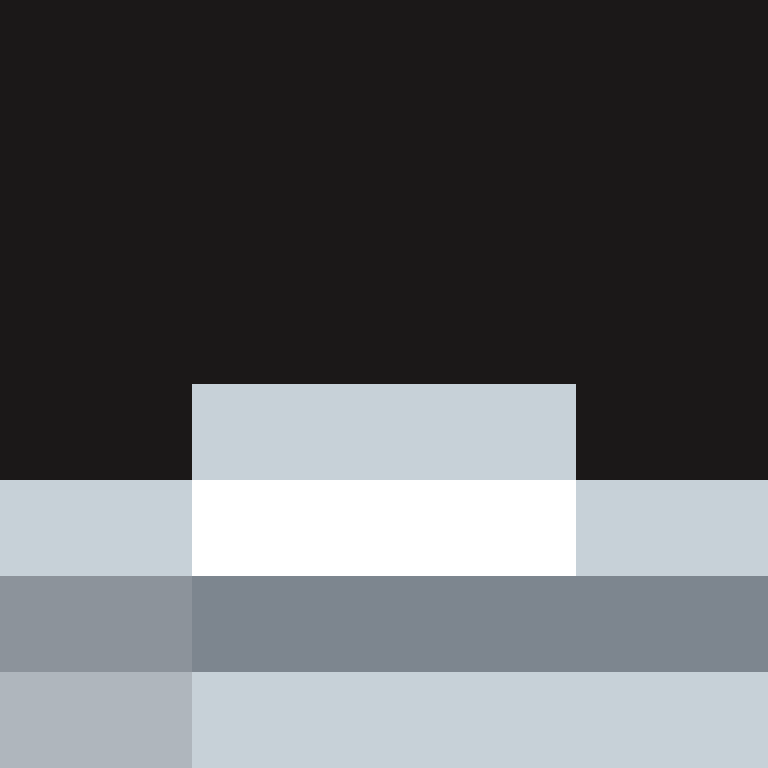 ElectronicSex's skin