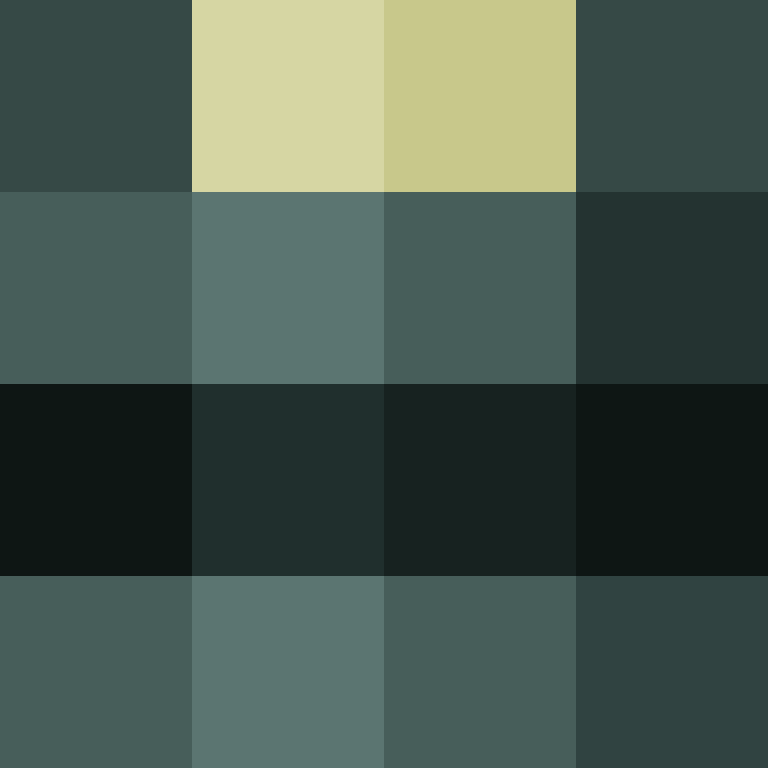 DonaldTrump42's skin