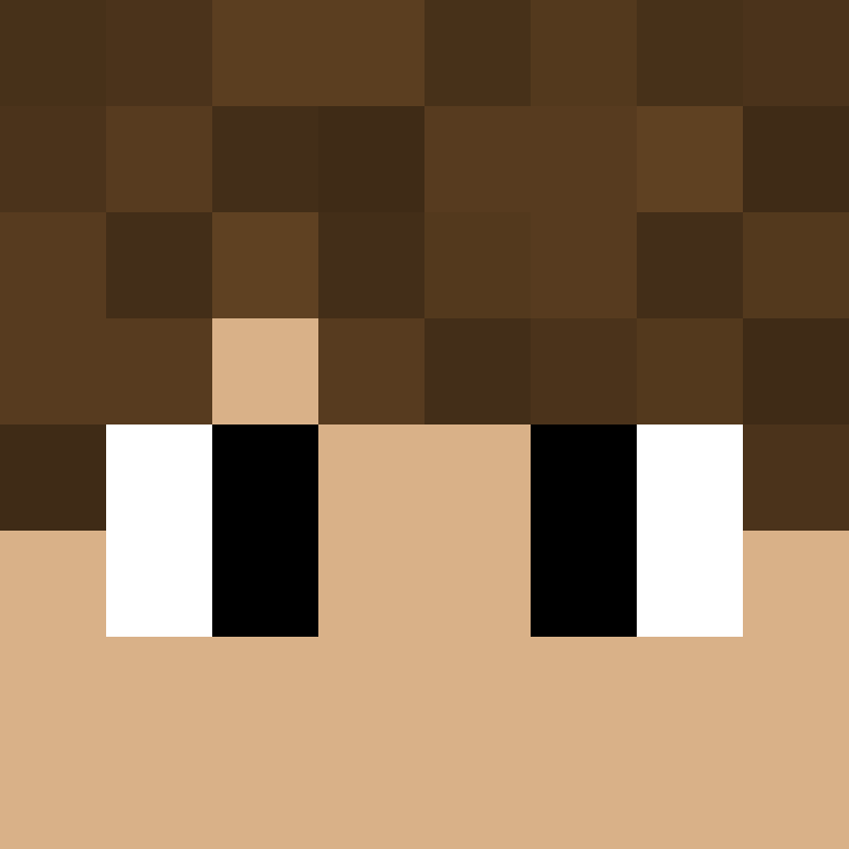8aca680b22461340's skin
