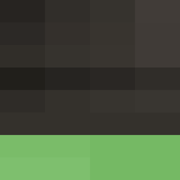 deminecrafterlol's skin