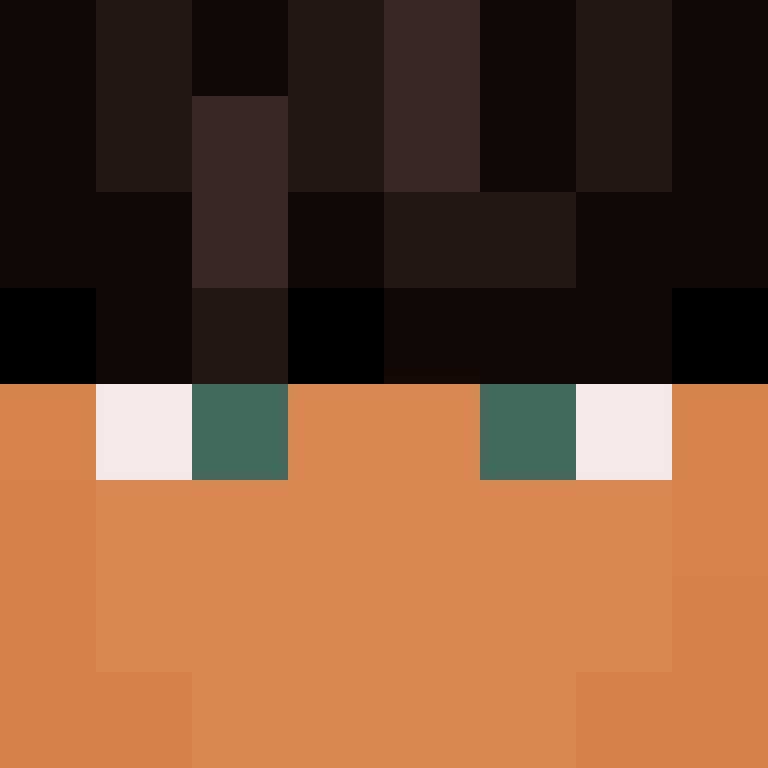 CeilingBird's skin