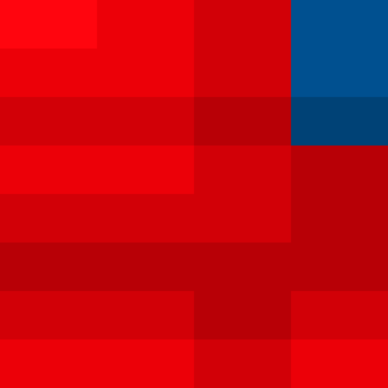 zervation's skin
