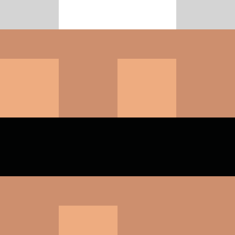 CeilingBird's skin