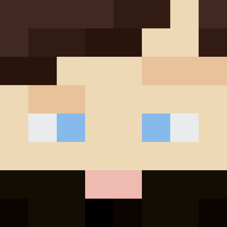 CeilingBird's skin