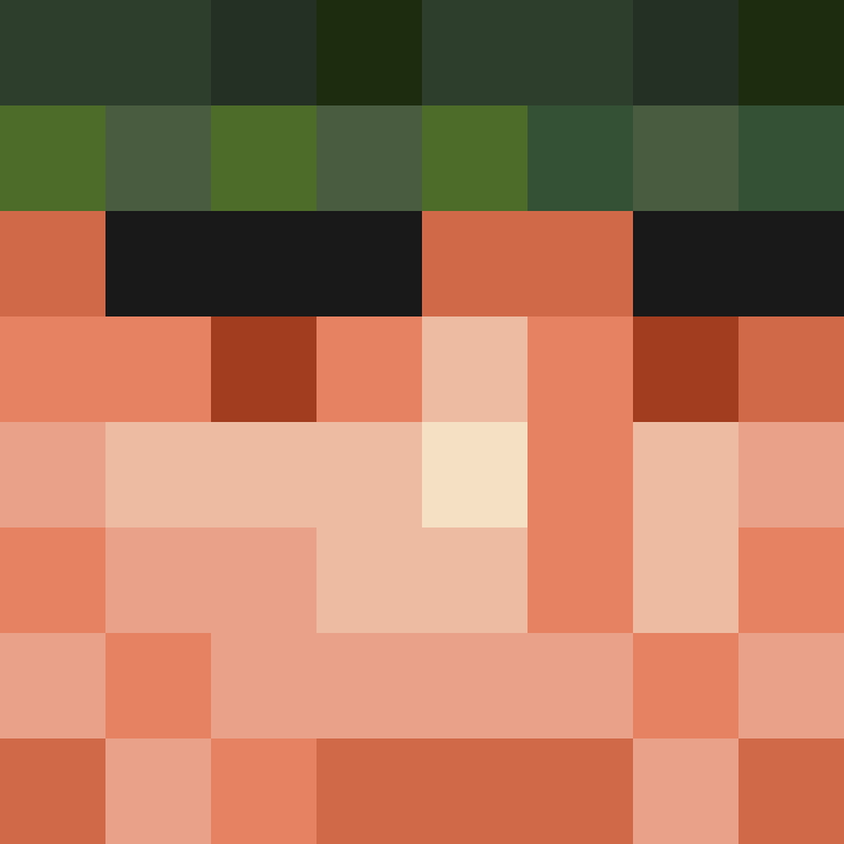 SkinEnthusiast's skin