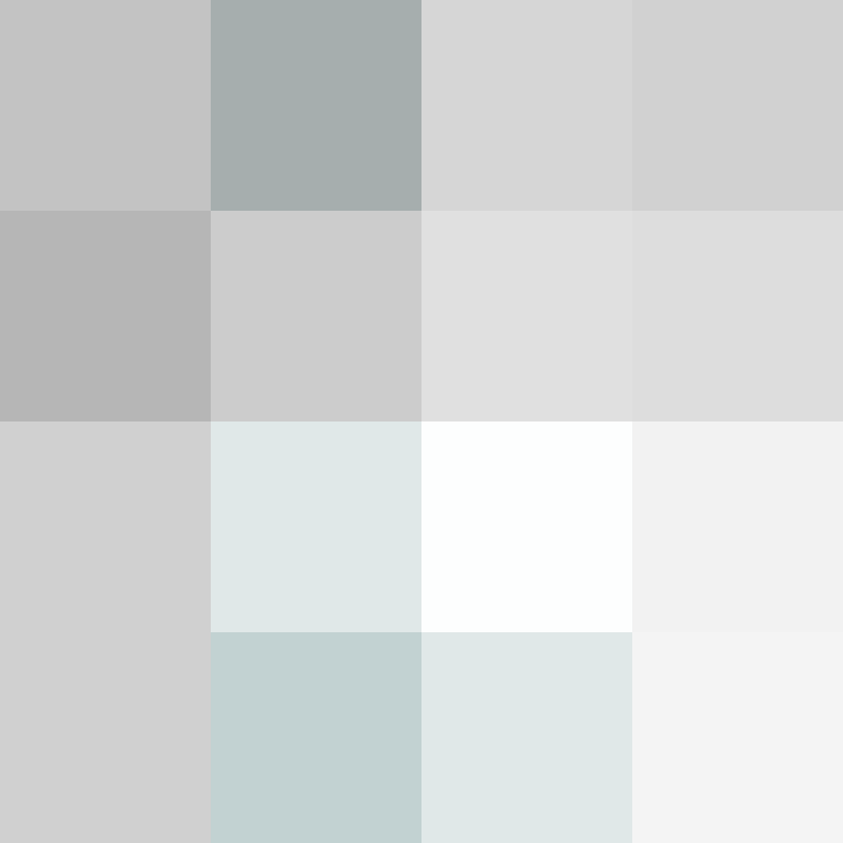 odavidcesar's skin