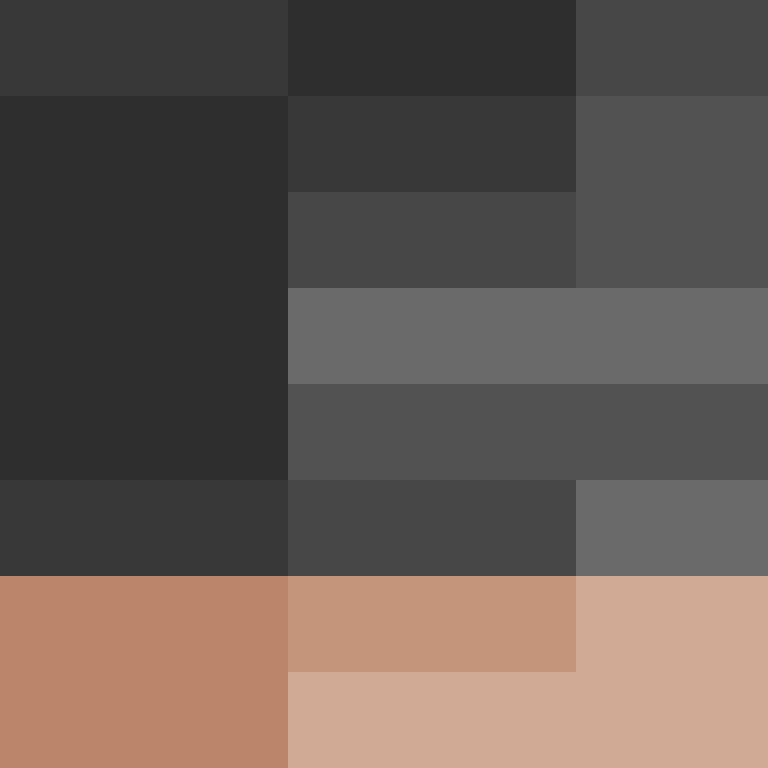 BukkitAPI's skin