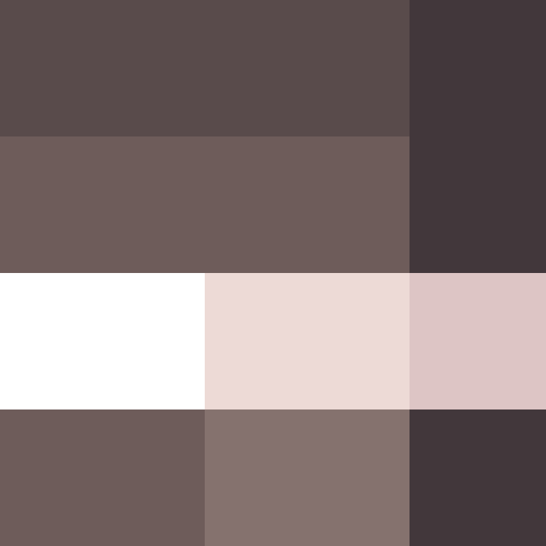 deminecrafterlol's skin