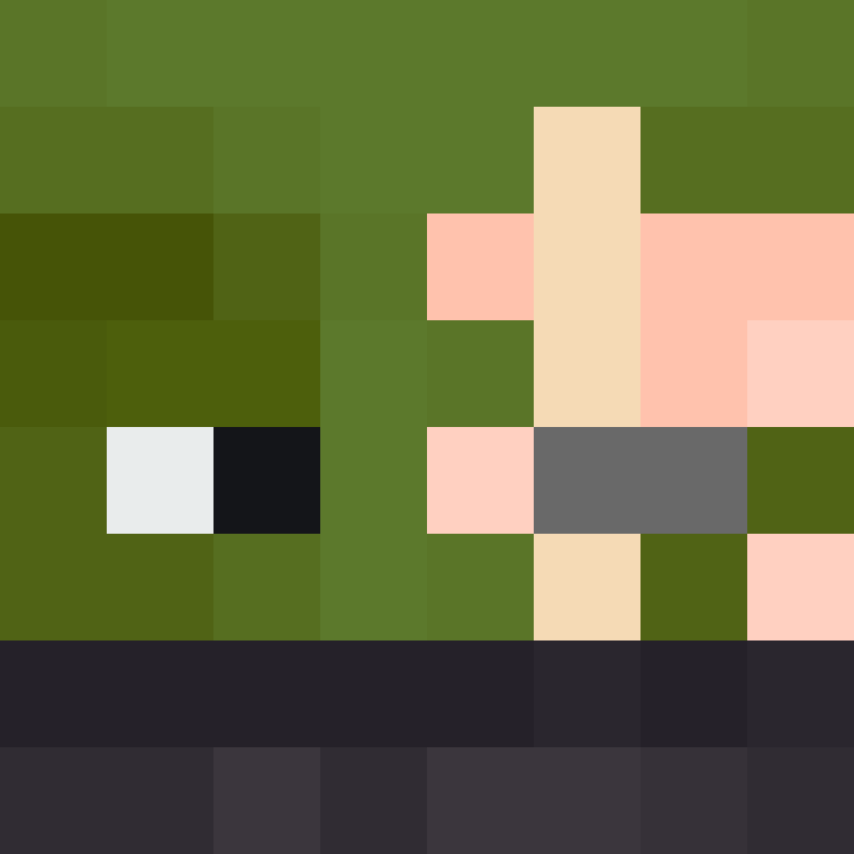 h4yl33's skin