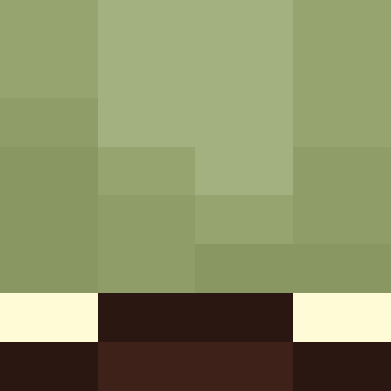 hannhums's skin