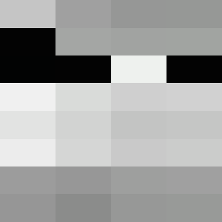 zervation's skin