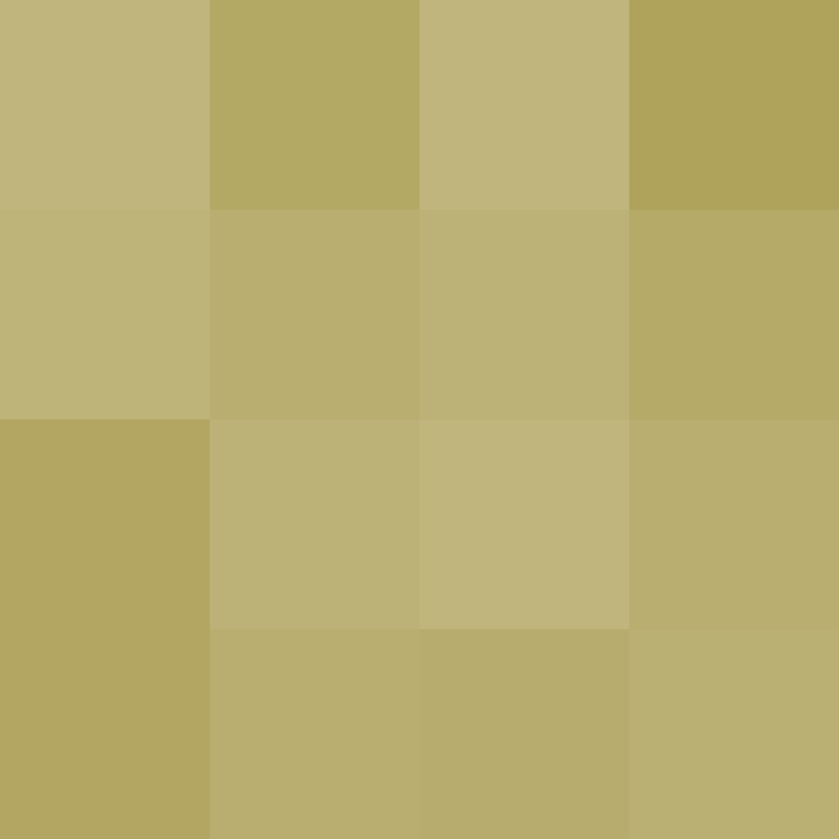 executory's skin