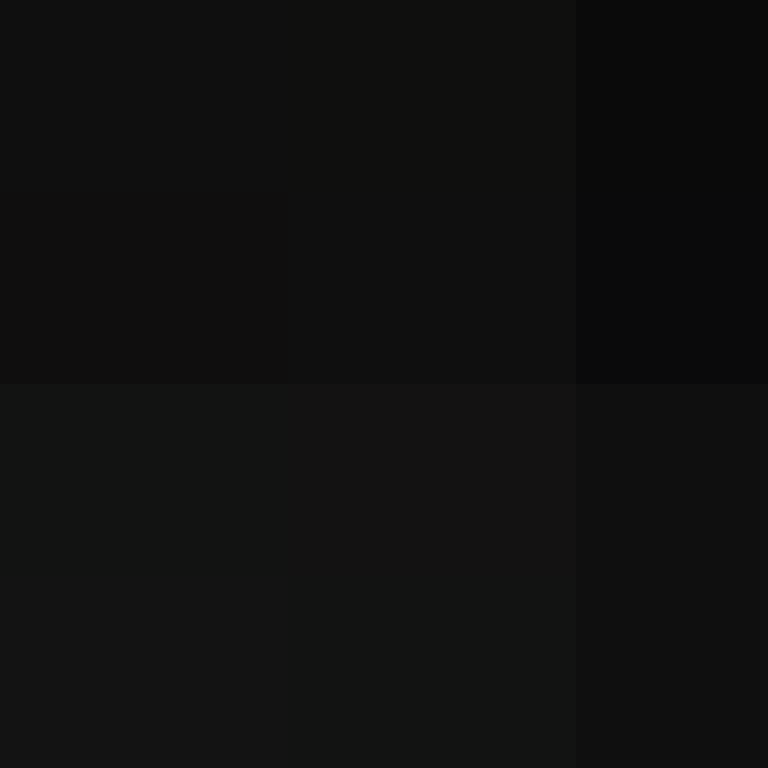 AutoSkin's skin