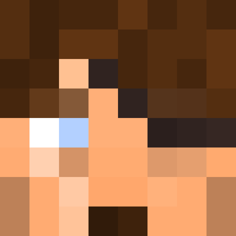wiredframe's skin