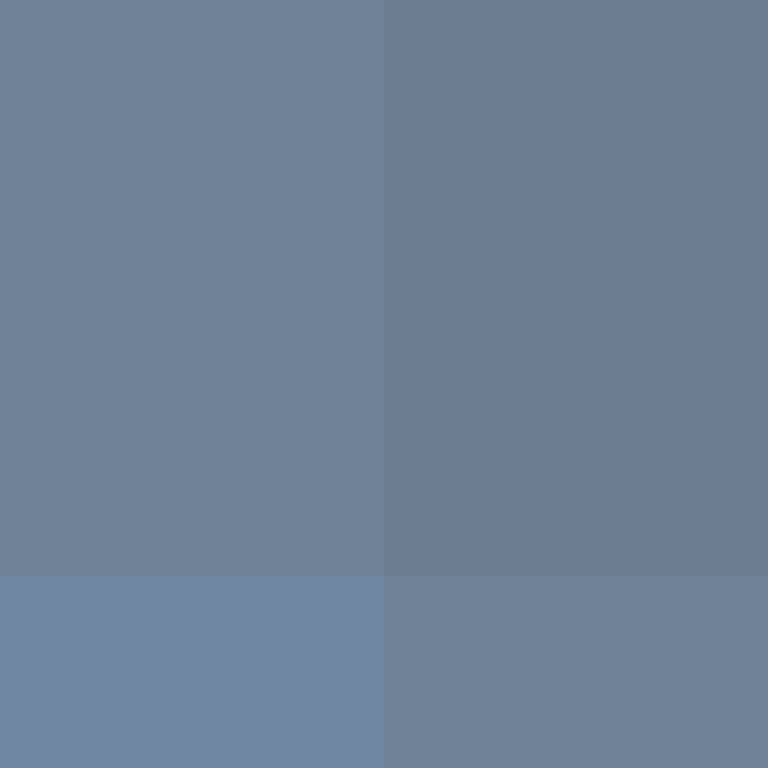 CeilingBird's skin