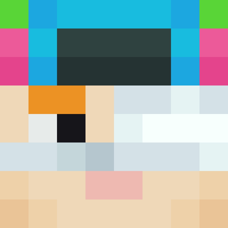 CeilingBird's skin