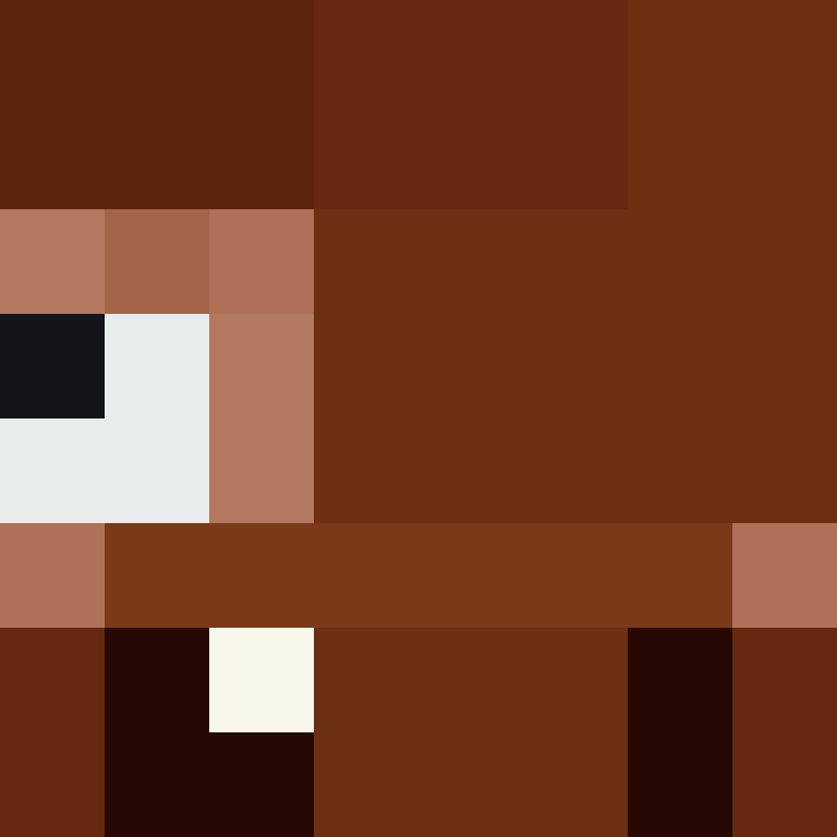 deminecrafterlol's skin