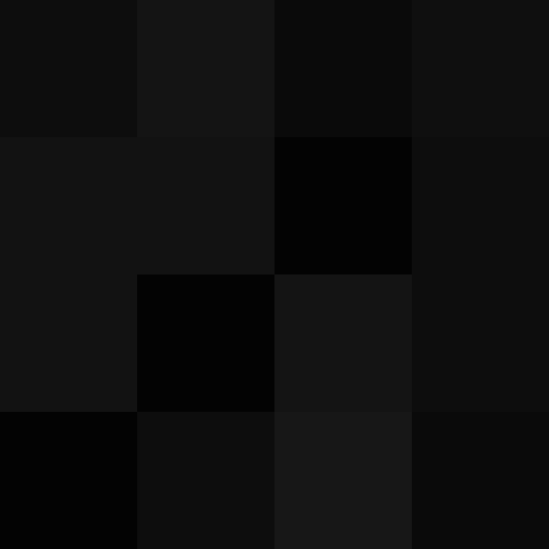 acin5's skin