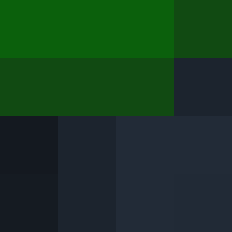 TheCuriousMiner's skin