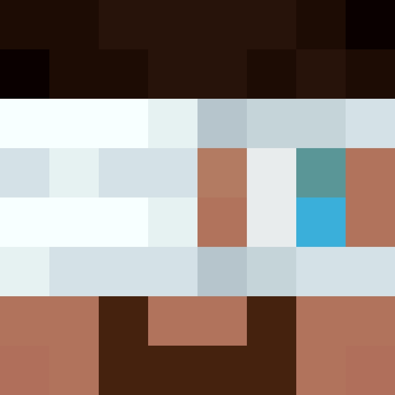 MHF_Mineskin's skin