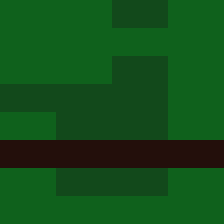 xentany's skin