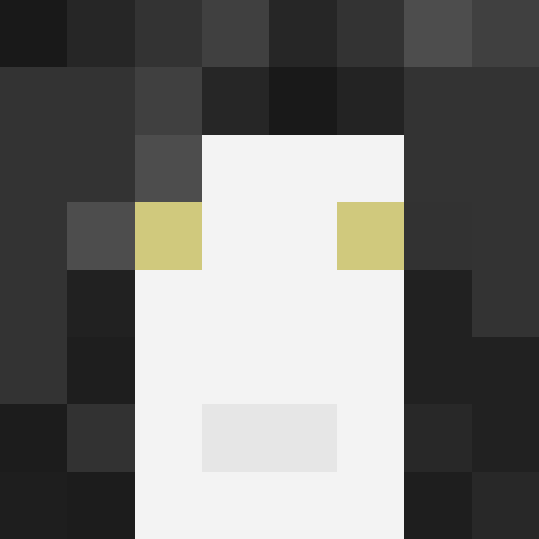 8aca680b22461340's skin