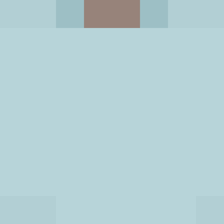 Mine_Skin's skin