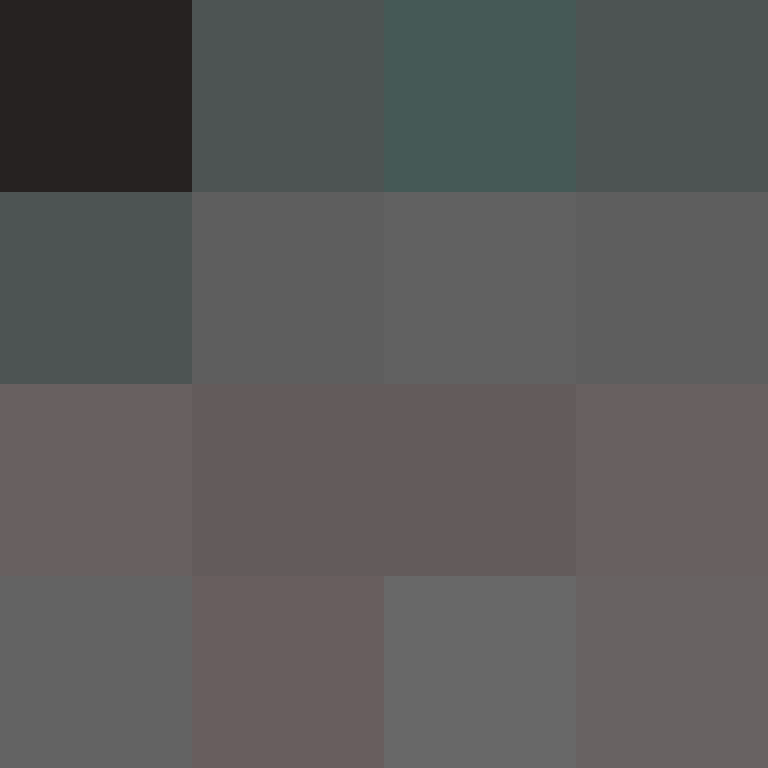 v4r1n's skin