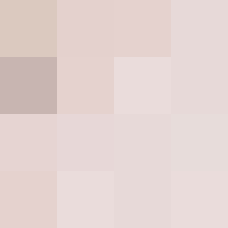 hpyef's skin