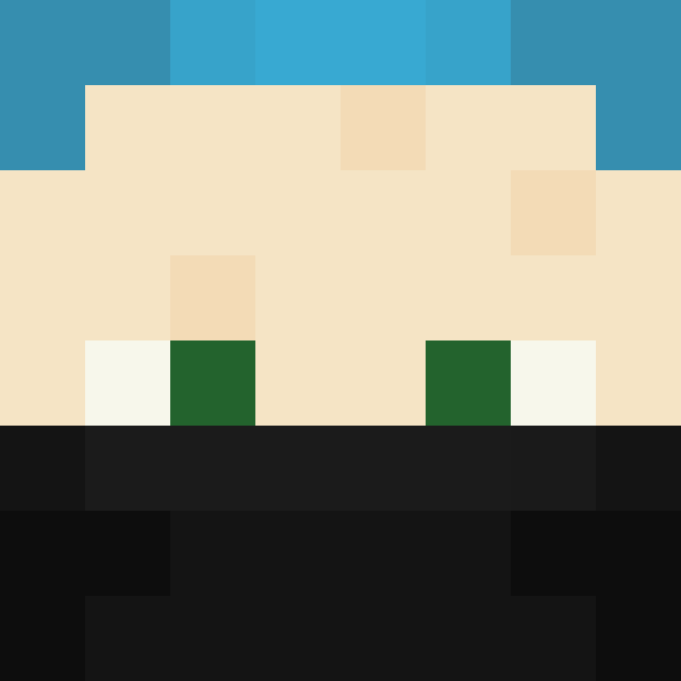 wiredframe's skin
