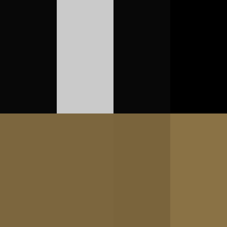 GoldenAppleGHG's skin