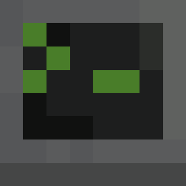 xentany's skin