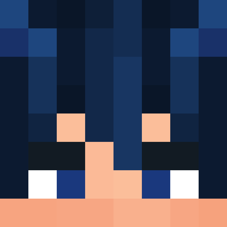8aca680b22461340's skin