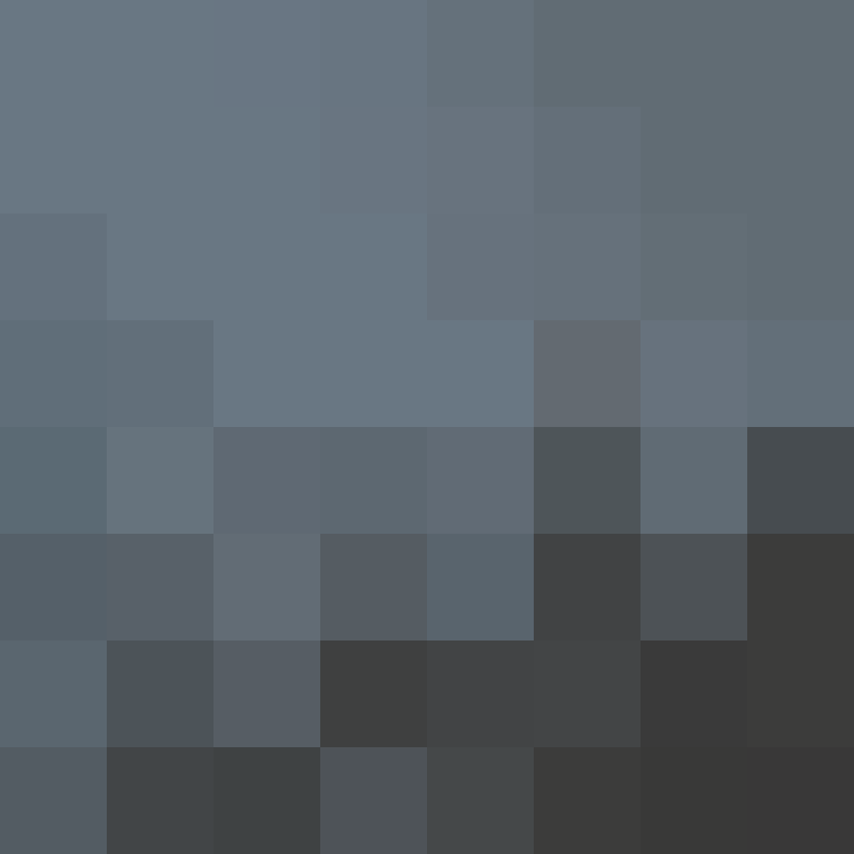 CeilingBird's skin
