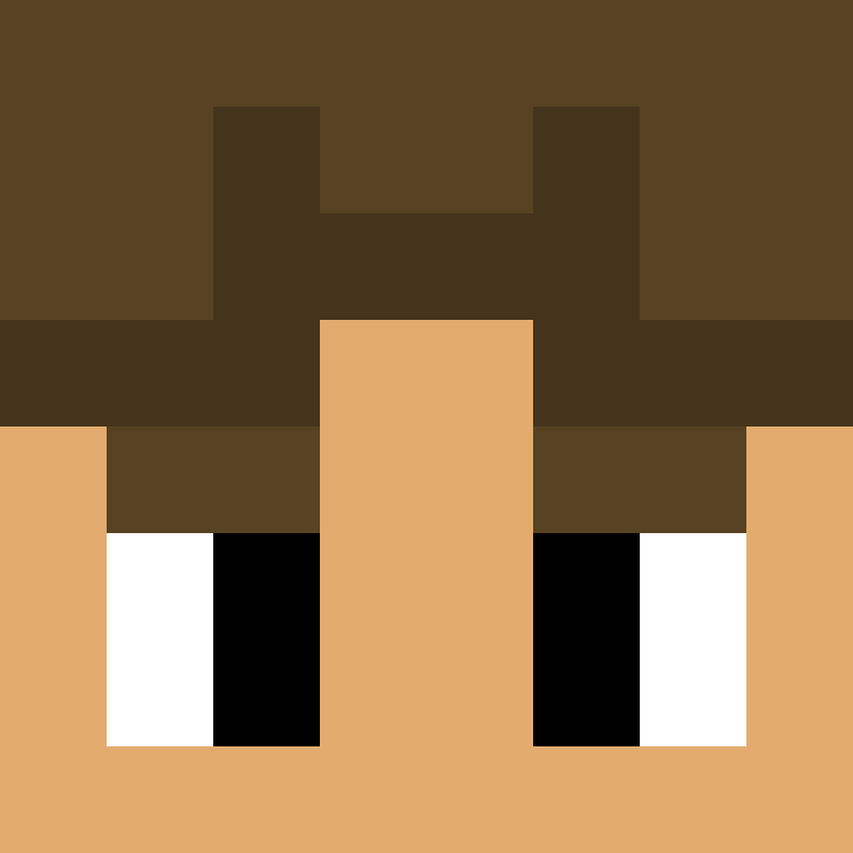 wiredframe's skin