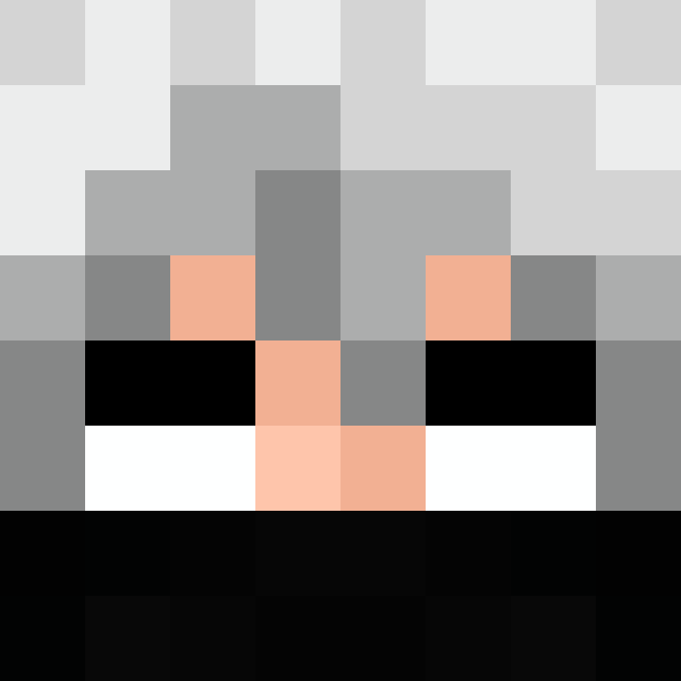BukkitAPI's skin