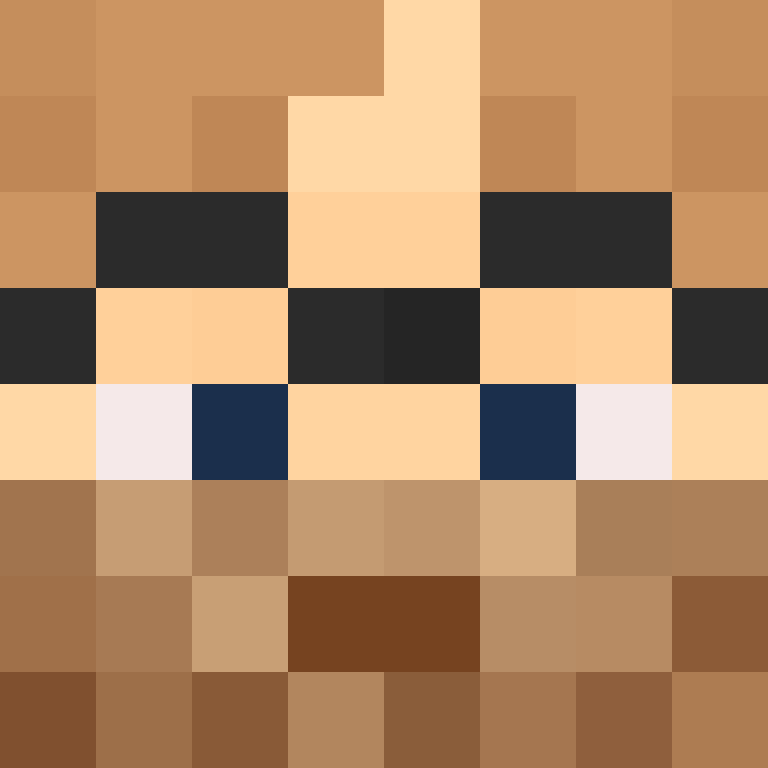 xX_No_Income_Xx's skin