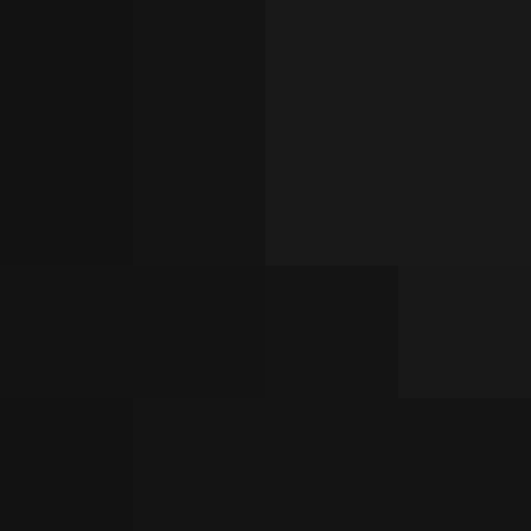 Cartizoll's skin