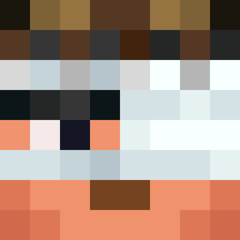 8aca680b22461340's skin