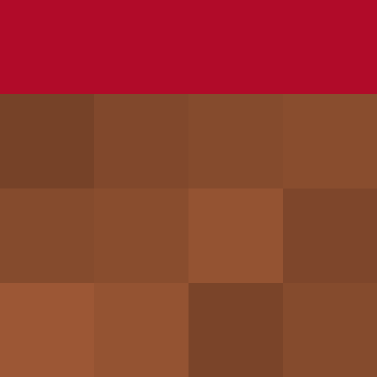 AutoSkin's skin