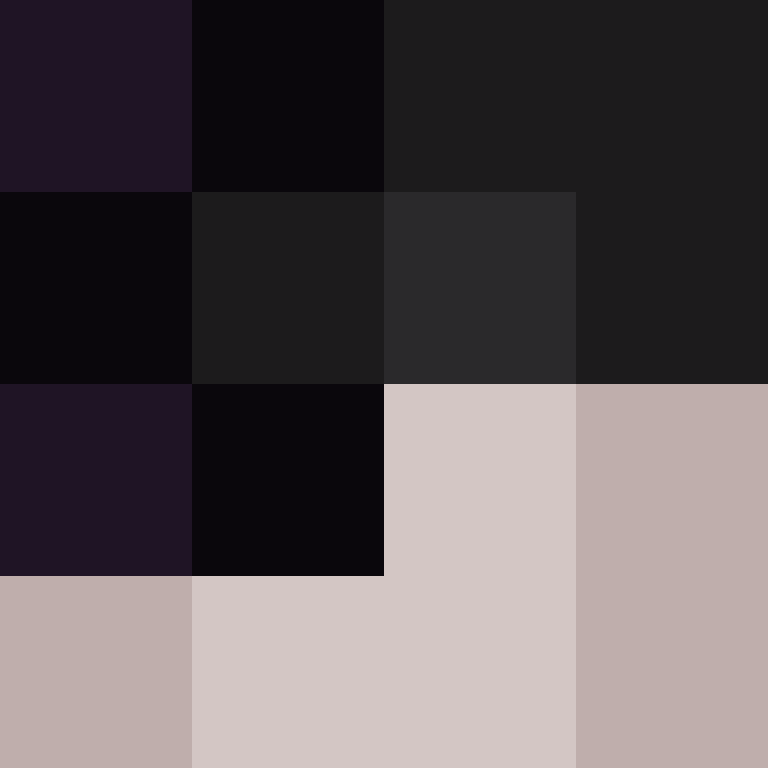 wiredframe's skin
