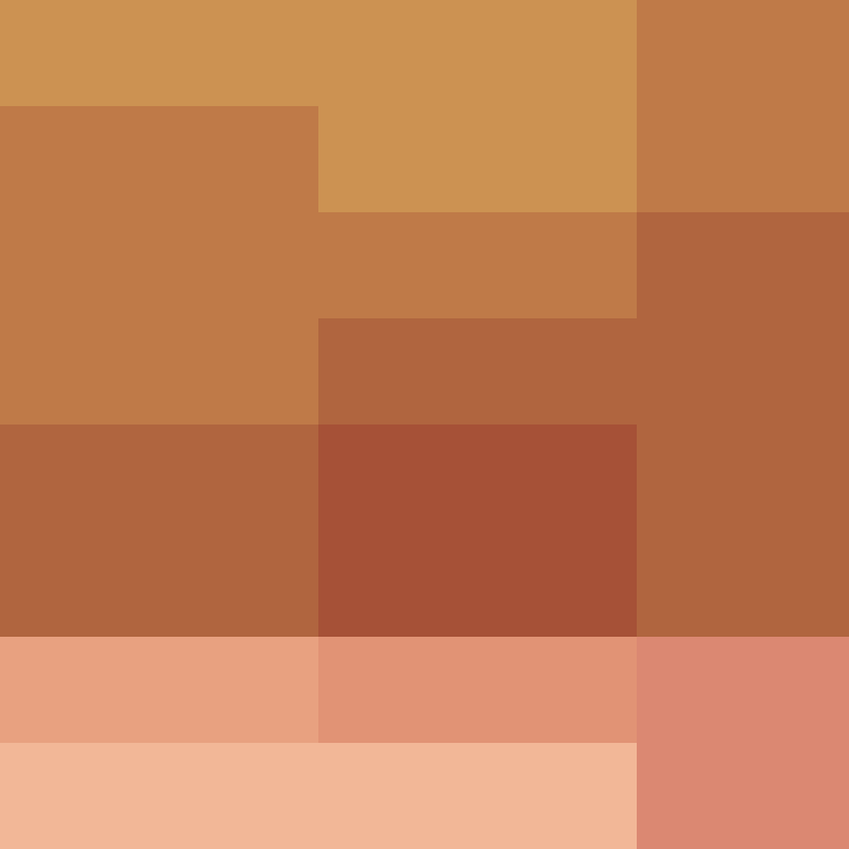 PtakopyskCZ's skin