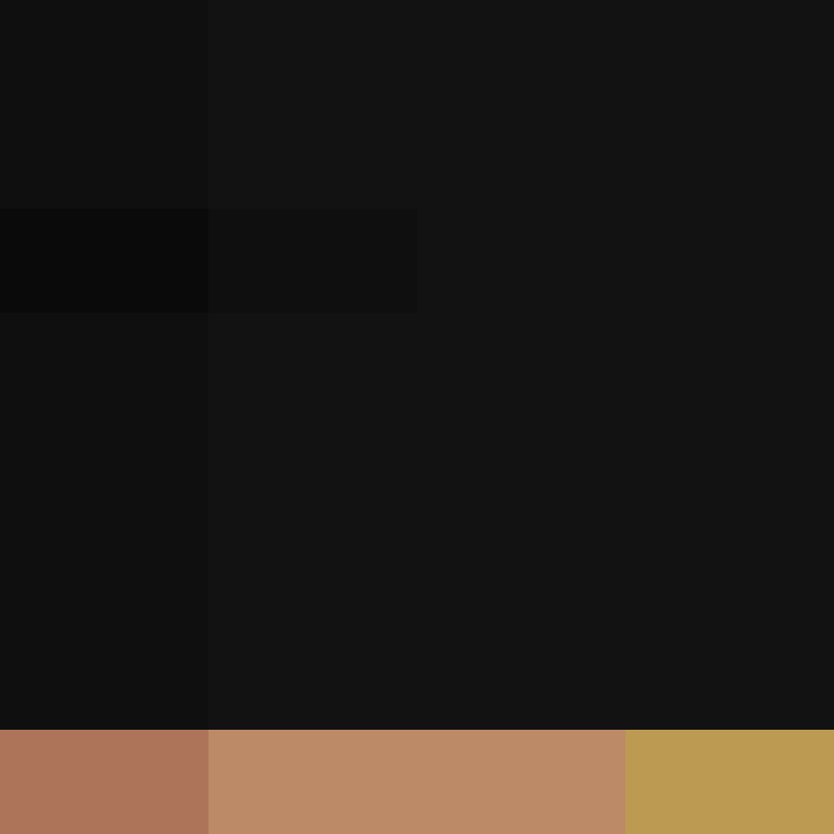 PatatjeMC's skin