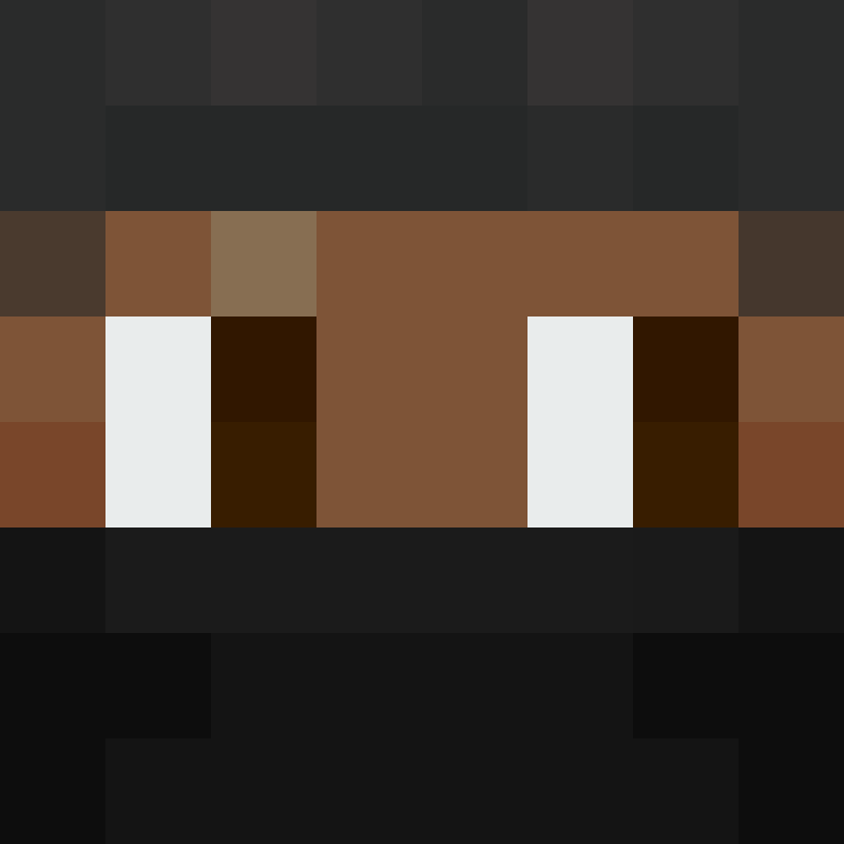 TheCuriousMiner's skin