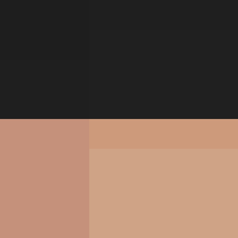 deminecrafterlol's skin