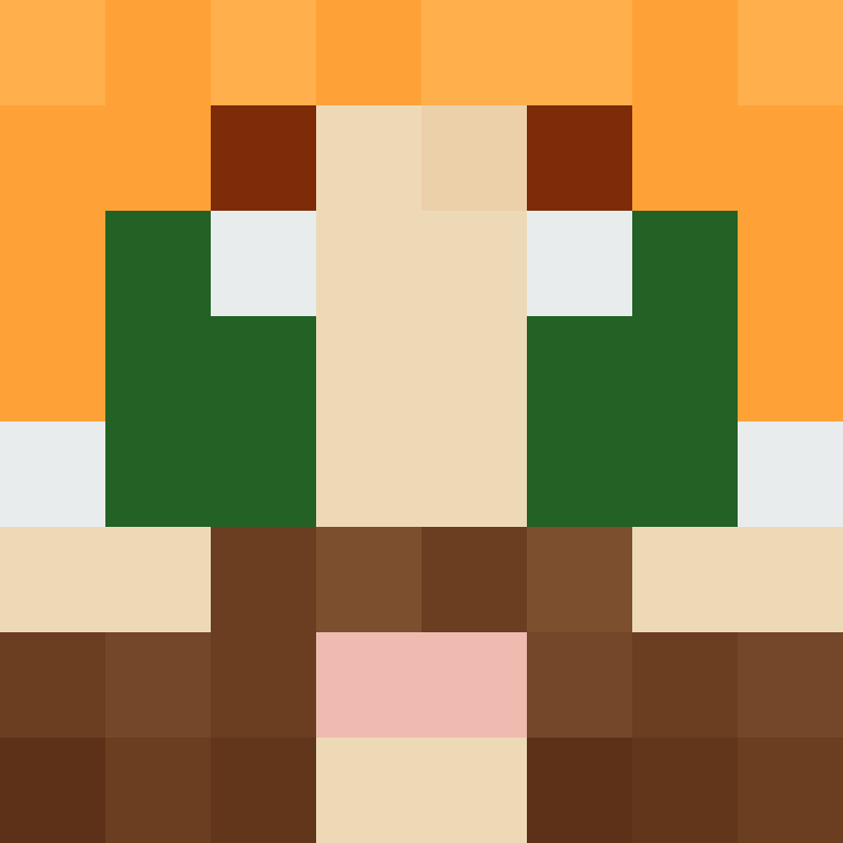 8aca680b22461340's skin