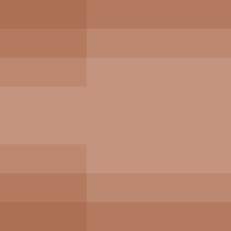 BukkitAPI's skin